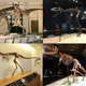Skeletons of tyrannosaur specimens tested in the study.